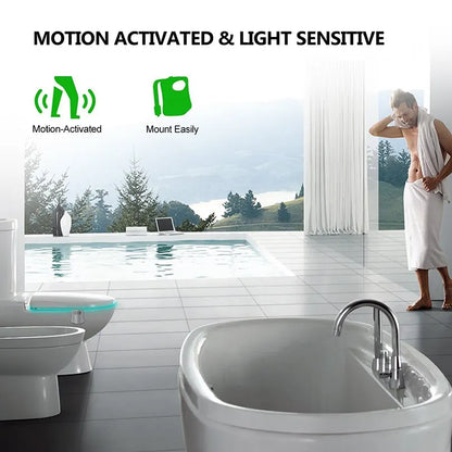 Buy motion sensor toilet light online