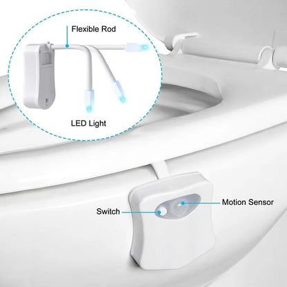 Buy motion sensor toilet night light online